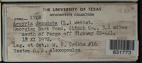 Image Associated With the Occurence